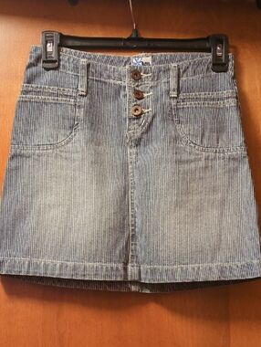 TILT Blue Pinstripe Denim Mini Skirt with Button Fly